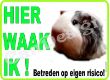 222 HIER WAAK IK ...MET CAVIA.jpg